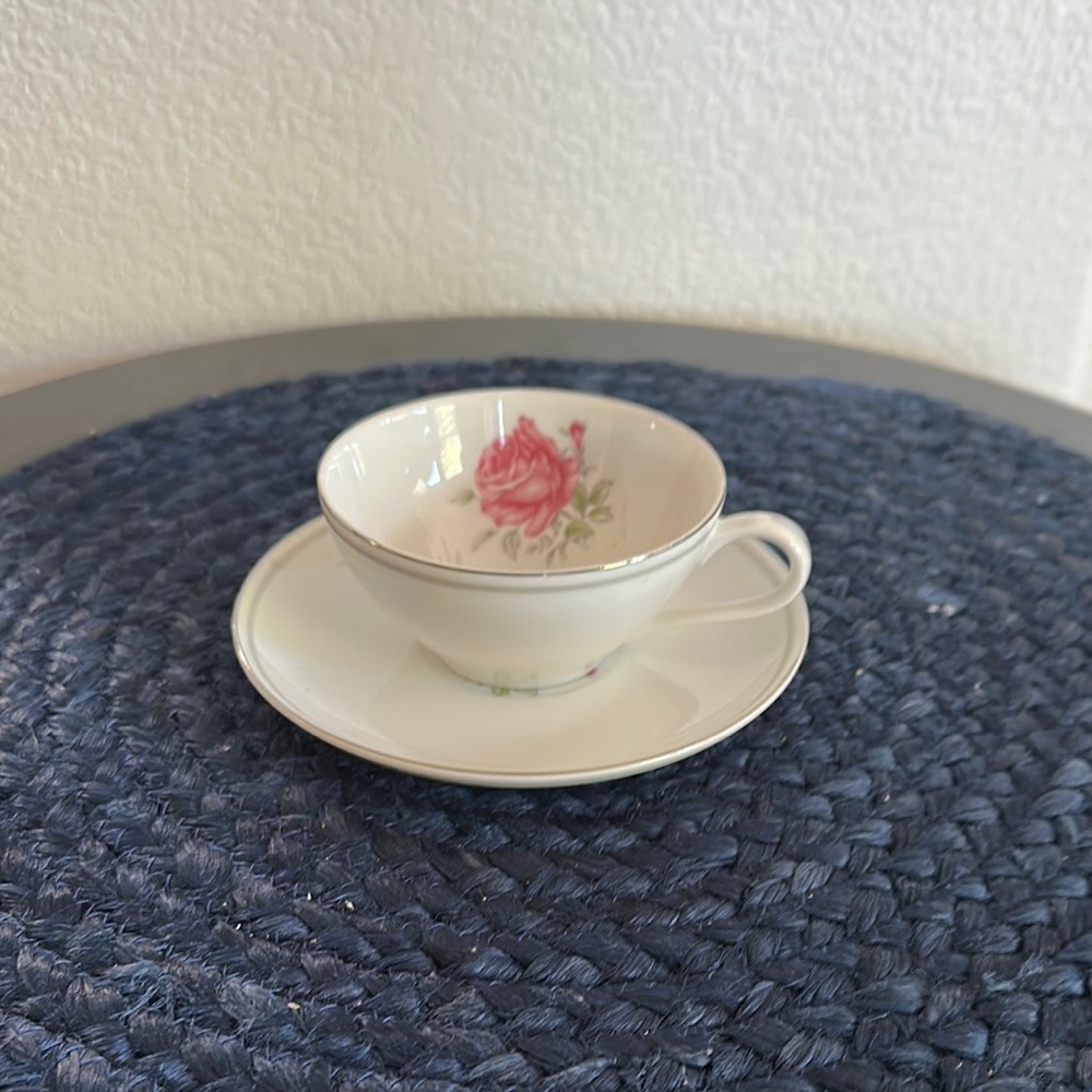Imperial Rose Fine China Teacup and Saucer Set